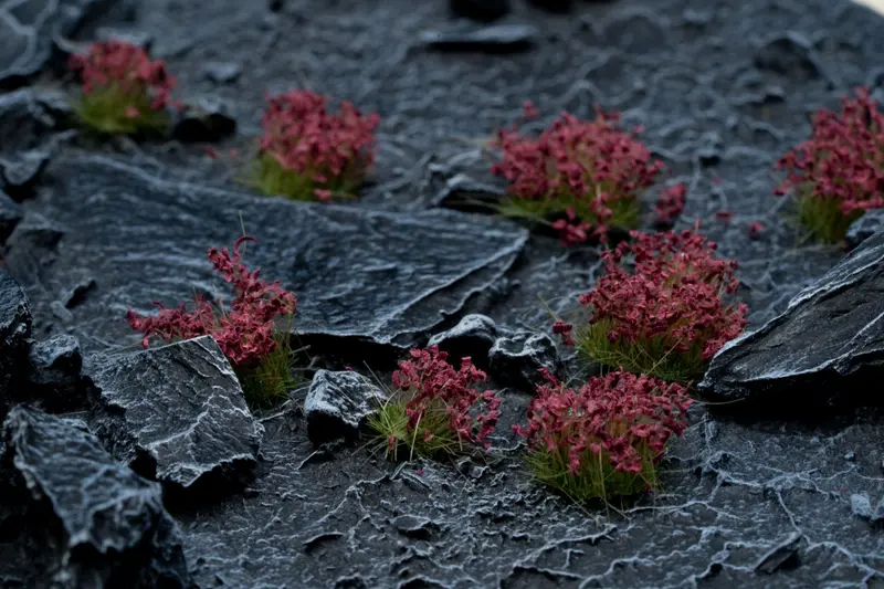 Gamers Grass Dark Purple Flowers Wild